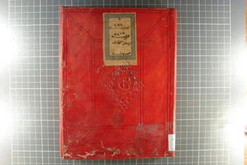 صورة مصغرة للعنصر