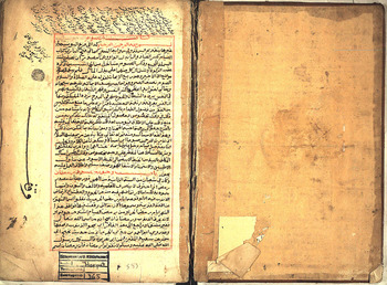 صورة مصغرة للعنصر