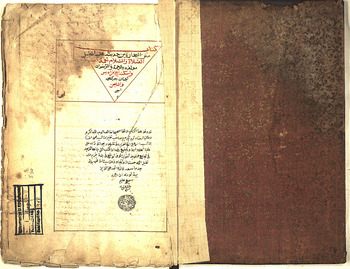 صورة مصغرة للعنصر