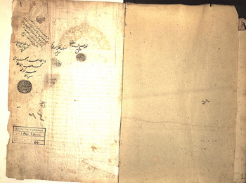 صورة مصغرة للعنصر