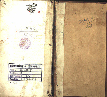 صورة مصغرة للعنصر