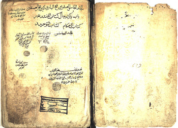 صورة مصغرة للعنصر