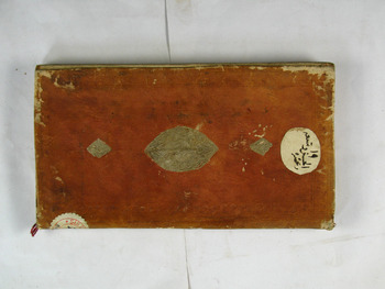 صورة مصغرة للعنصر