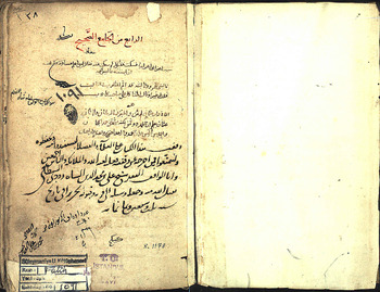 صورة مصغرة للعنصر