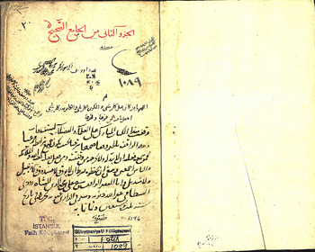 صورة مصغرة للعنصر